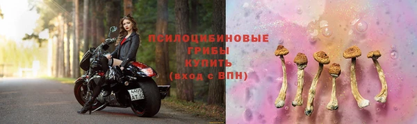 шишки Балахна