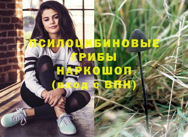 бутират Баксан