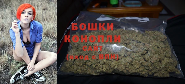 шишки Балахна