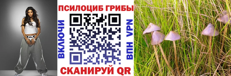 hydra   купить наркотики сайты  Лермонтов  Галлюциногенные грибы прущие грибы 