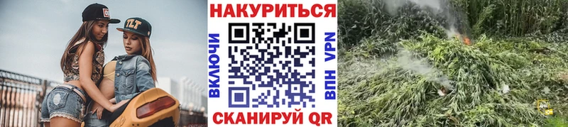 МАРИХУАНА SATIVA & INDICA  купить  цена  Лермонтов 